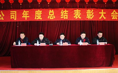 公司召開2015年度總結(jié)表彰大會